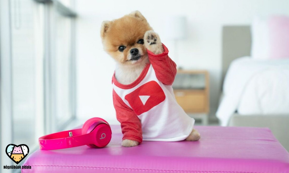 Jiffpom