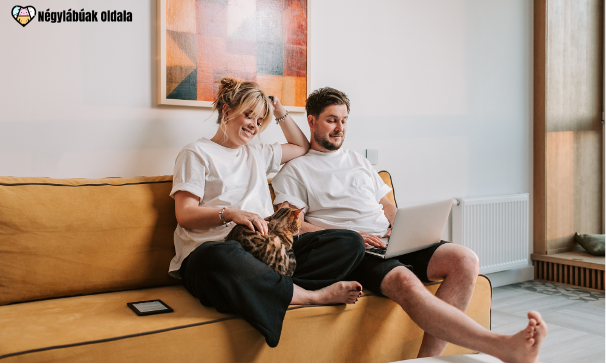 A kistestű állatok lakásba is ideálisak. Forrás: Canva