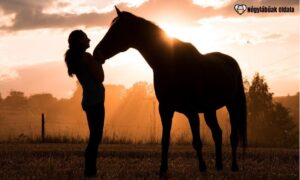 A lovak pozitív egészségügyi hatásai