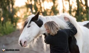 A lovak stresszoldó hatással bírnak.