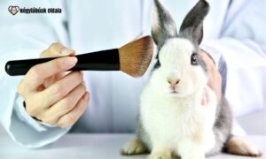 Magyar márkák, amelyek nem élnek vissza az állatokkal