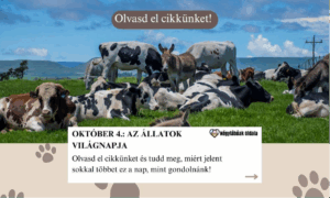 Október 4.: Az Állatok Világnapja