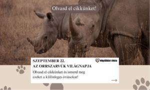 Szeptember 22. – Az orrszarvúk világnapja