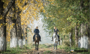 Ősszel hamarabb sötétedik, így a tereplovaglások során különösen figyelni kell a biztonságra.