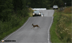 Így csökkenthetjük a kockázatot!