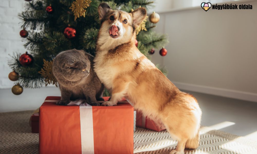 ajándékötletek állatoknak