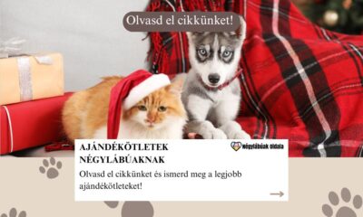 karácsonyi ajándékötletek