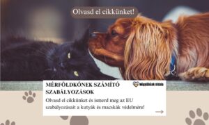 eu szabályok